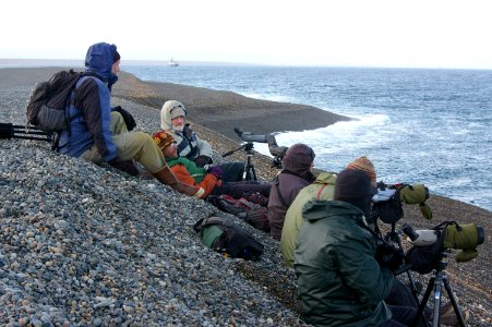 SEAWATCH