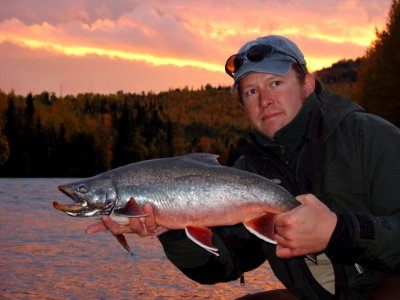 Kenai River Dolly Varden Char