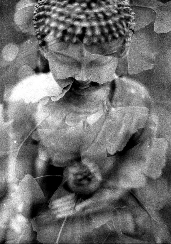 "Don't try to become a Buddha. Just be yourself. That is the Buddha."