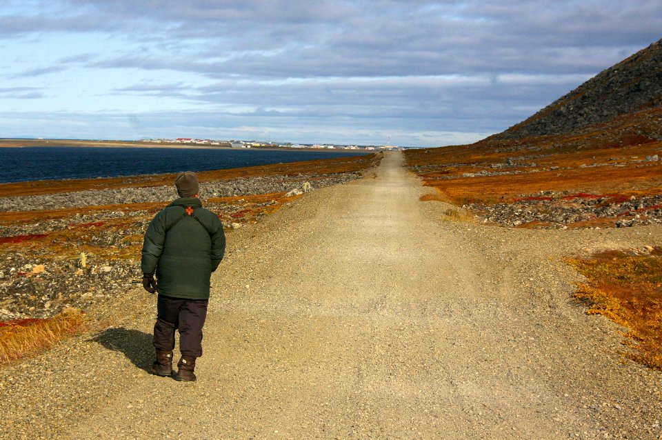 THE BOSS on the MOUNTAIN ROAD
