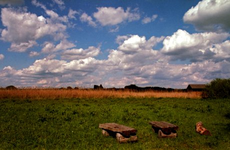 Merzse Swamp