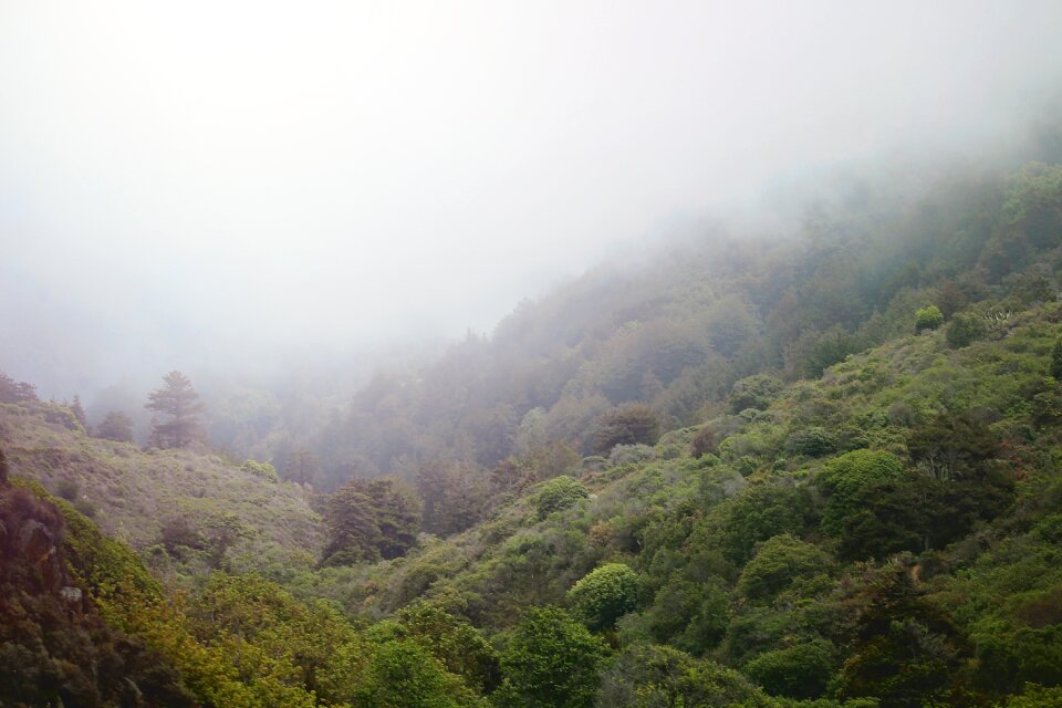 Landscape mountain scenery