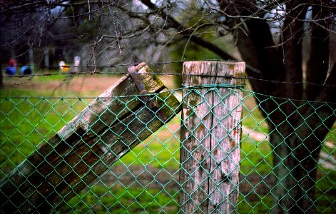 Fence photo
