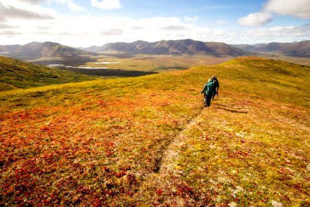 Hiking the fall tundra