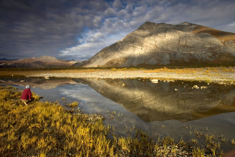 Arctic National Wildlife Refuge