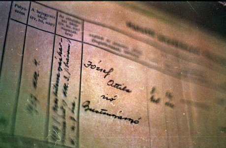 József Attila halotti anyakönyvi kivonata / József Attila's death certificate photo