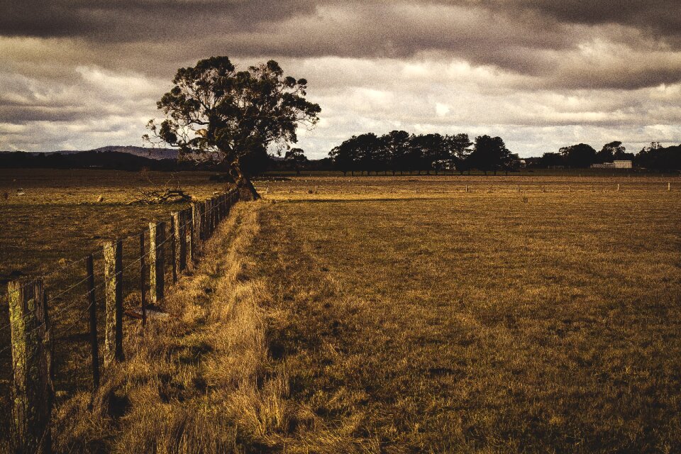 Agricultural rural dark sky