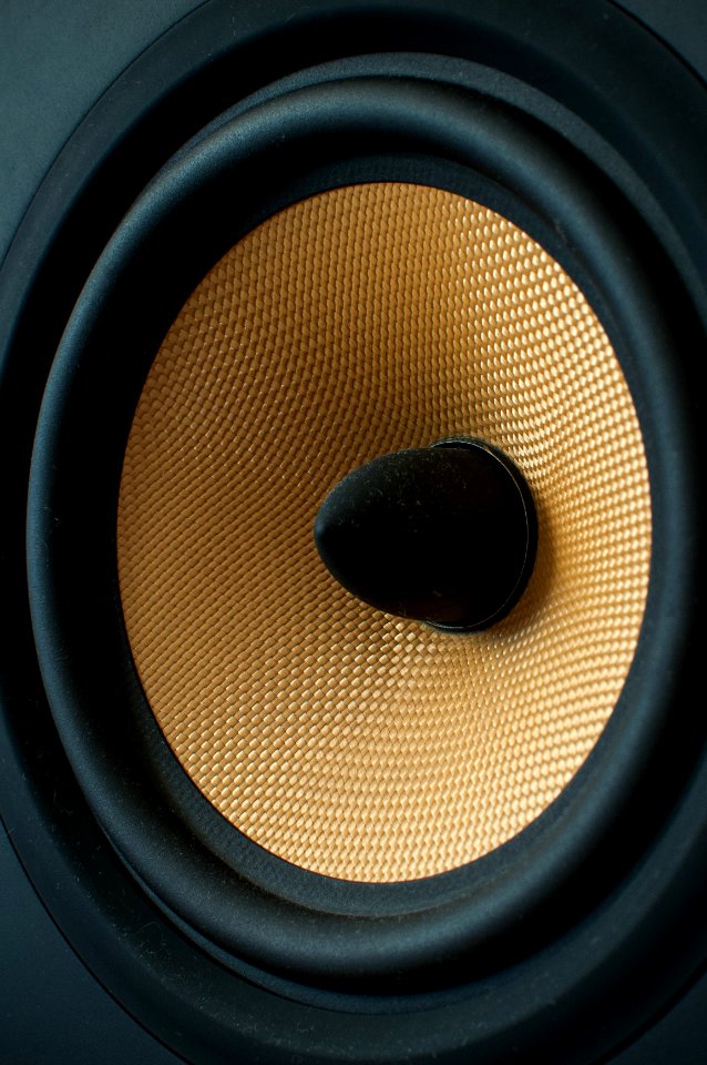 Speaker