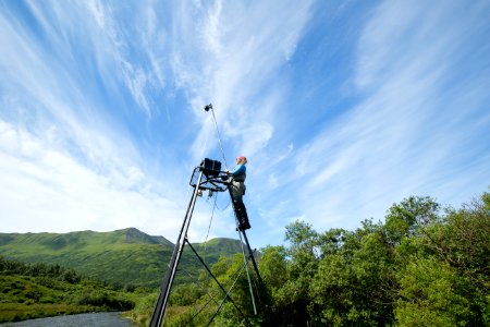 Salmon camera
