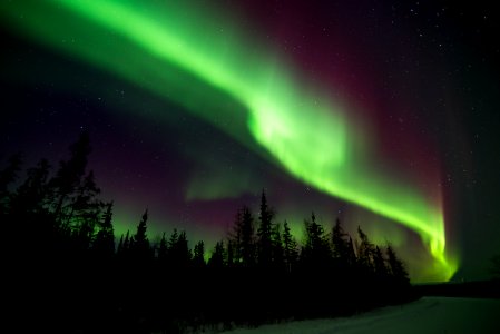 Northern lights