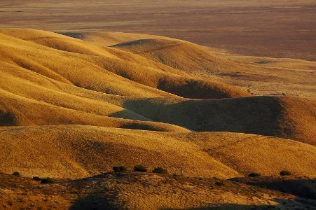 From Caliente Pk Rd, carrizo plain nat monument, san luis obispo, ca - a004q