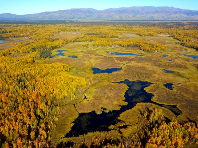 Nowitna Refuge fall foliage.