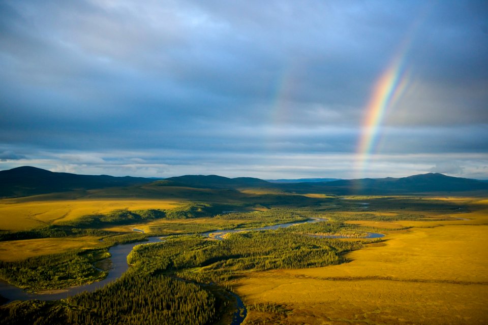Selawik River Rainbow