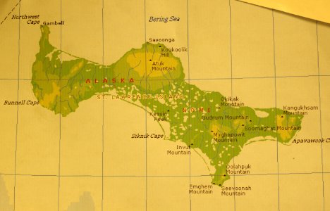 SAINT LAWRENCE ISLAND