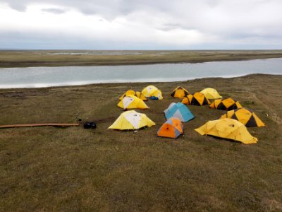 2019 Arctic Virtual Bird Fest