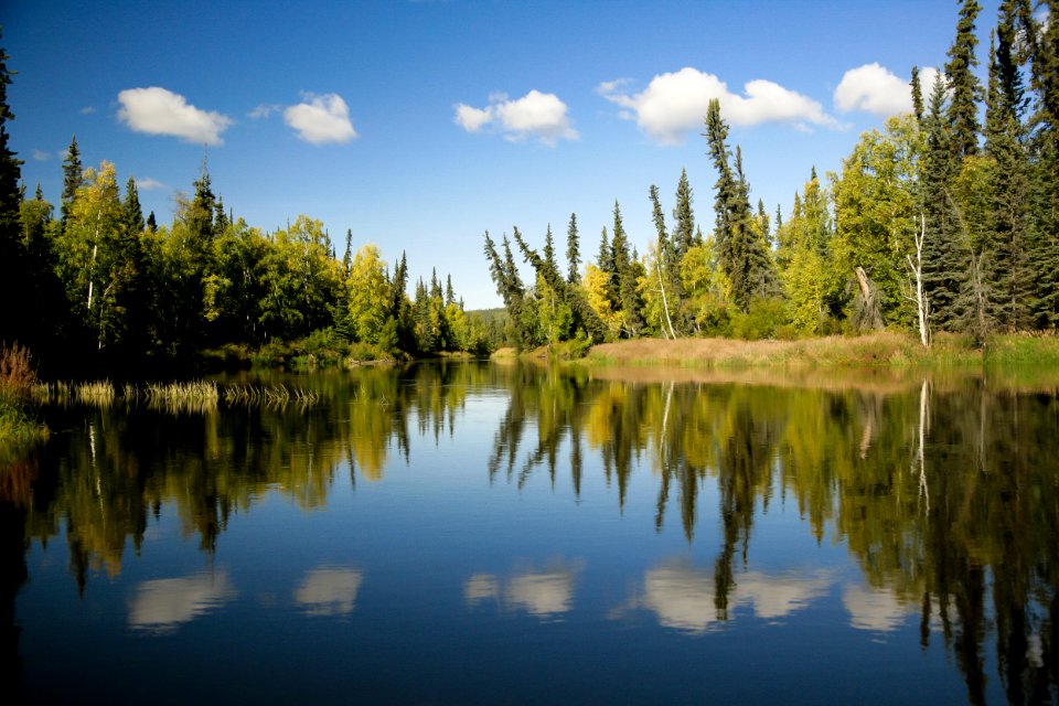Kanuti River