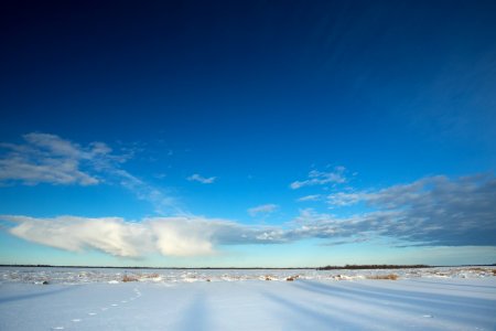 Lynx Project At Yukon Flats National Wildlife Refuge photo