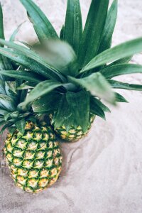 Healthy food fresh