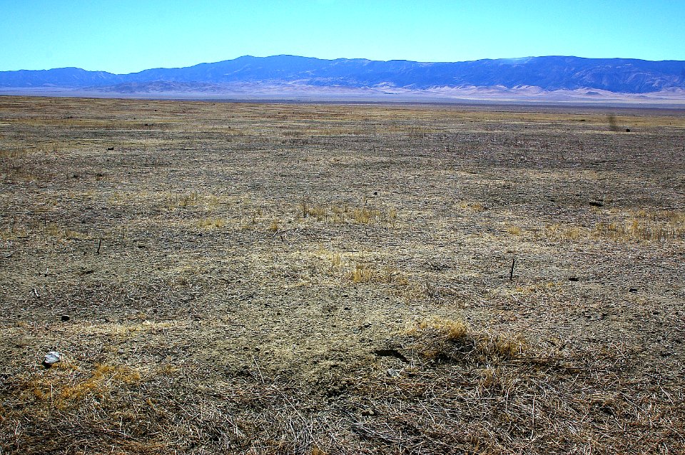 MT PLOVER HABITAT along Elkhorn Rd (11-10-2005) Carrizo Plain National Monument, SLO Co, CA