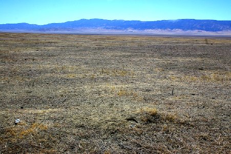MT PLOVER HABITAT along Elkhorn Rd (11-10-2005) Carrizo Plain National Monument, SLO Co, CA