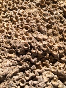 Stone craters structure