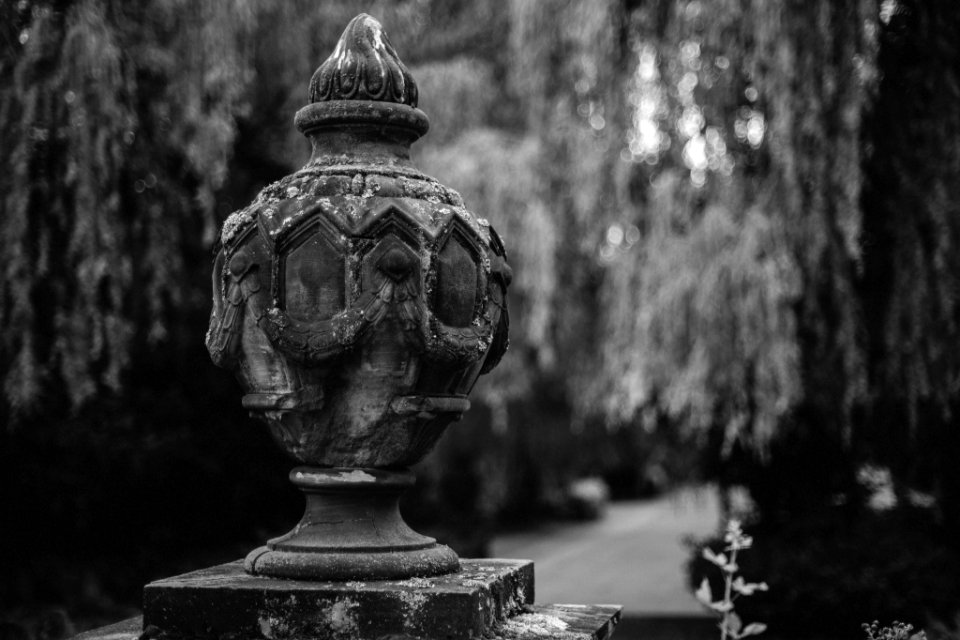 Neulich auf dem Friedhof photo