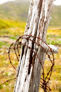 Post and barbed wire