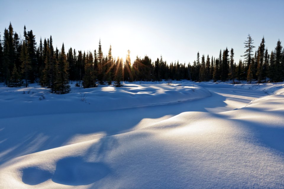 Frozen creek tributary to the Moose River.