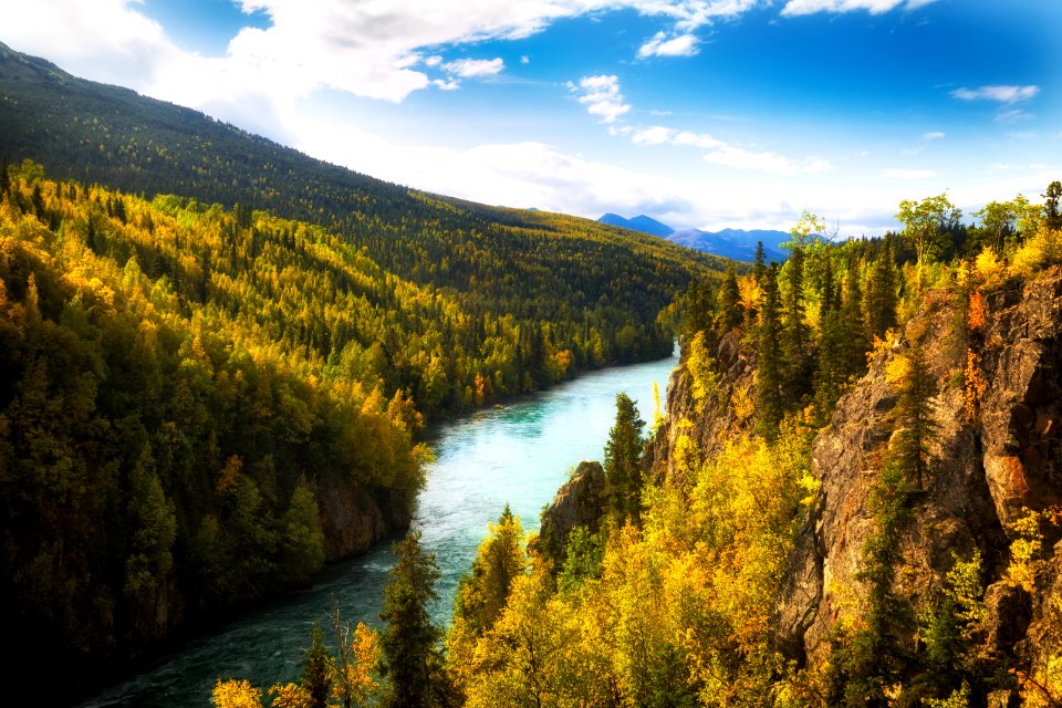 Fall foliage above Kenai River