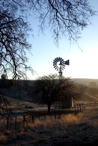 RTE 58 MORNING -02