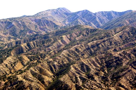 PADRONE CANYON- 3-07--008