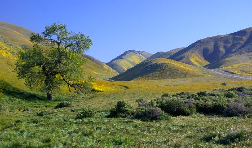 SAN DIEGO CANYON, RTE 58-01