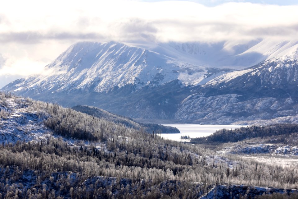 Frosty winter landscape