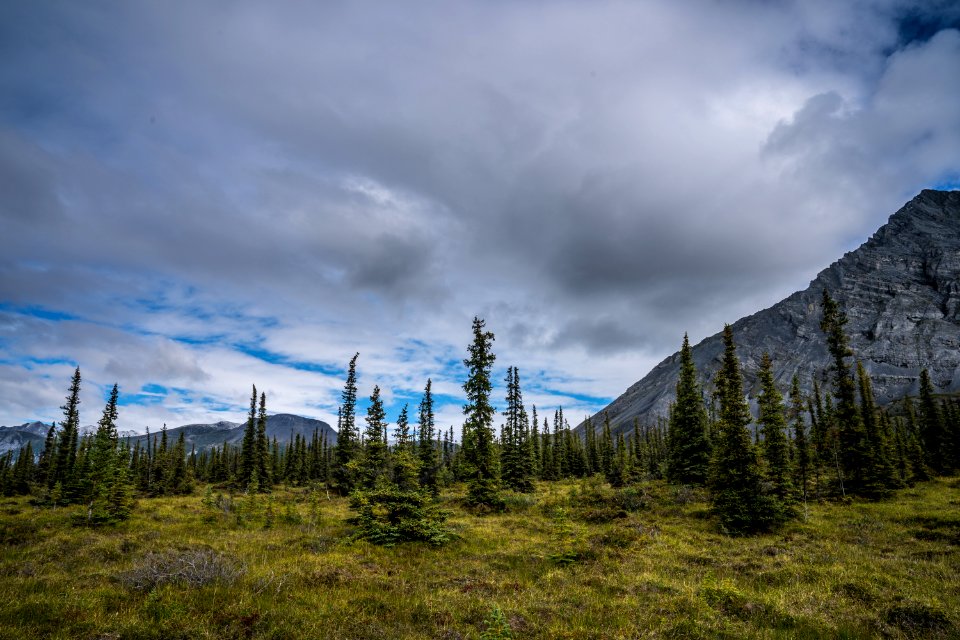 Arctic Refuge - Sheenjek River