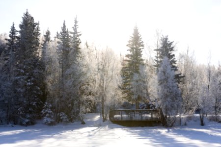 Winter views at Hidden Lake.