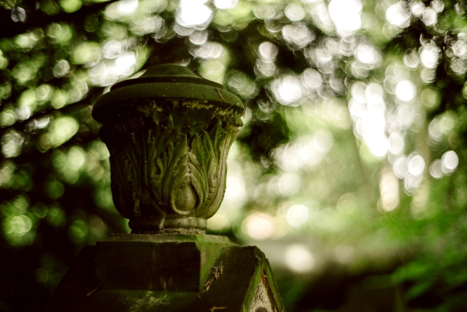 Neulich auf dem Friedhof photo