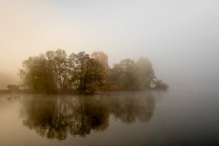 foggy island photo