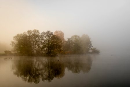 foggy island