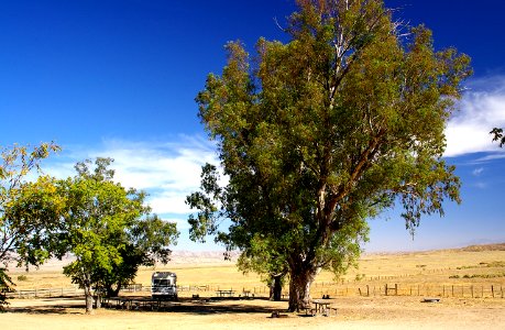 KCL CAMPGROUND (10-11-2005) Carrizo Plain National Monument, SLO Co, CA