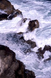 MONTANA DE ORO STATE PARK -012