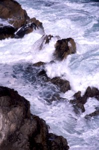 MONTANA DE ORO STATE PARK -012 photo