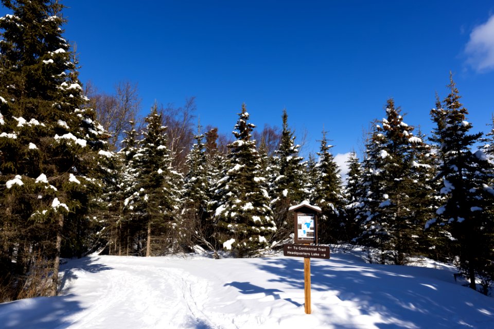 Ski trails at Headquarters Lake, Kenai National Wildlife Refuge.