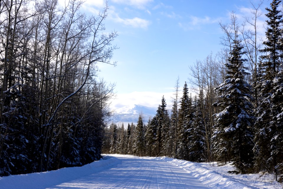 Scenic winter views along Skilak Lake Road.