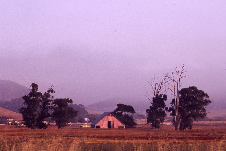 LOS OSOS VALLEY -007