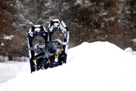 A pair of snowshoes in the snow. photo