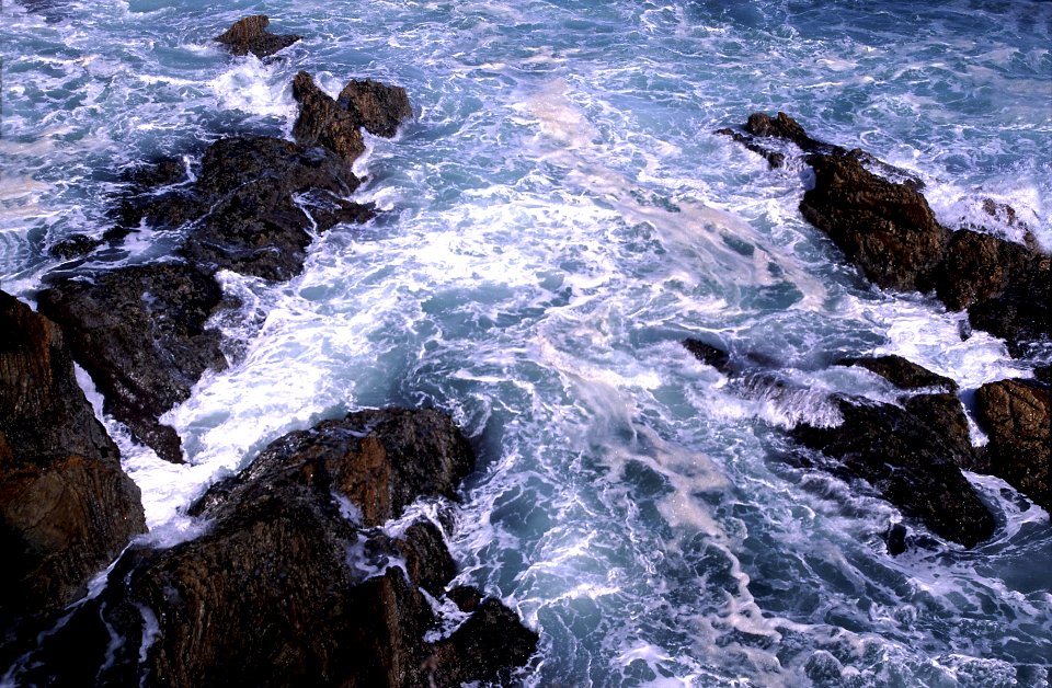 MONTANA DE ORO STATE PARK -009