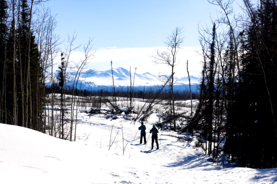 Cross country ski trail