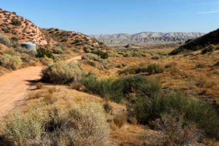 Padrone Springs- 010a