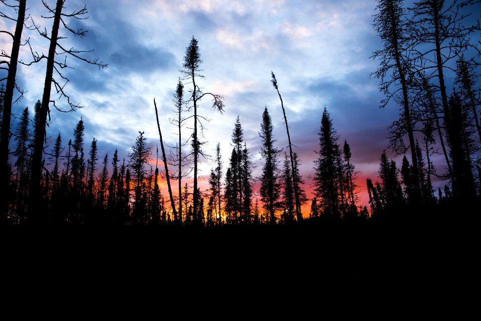 Burned area sunset