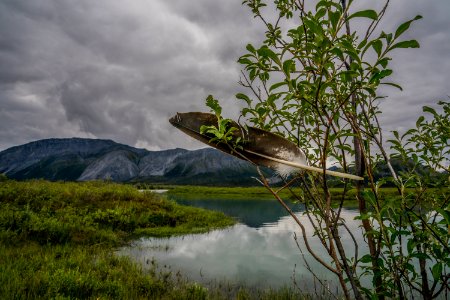 Arctic Refuge - Sheenjek River